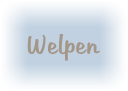 Welpen