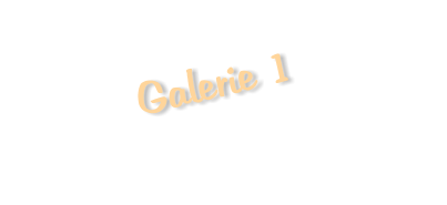 Galerie 1