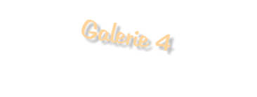 Galerie 4