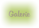 Galerie