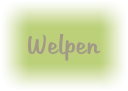 Welpen