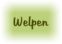 Welpen